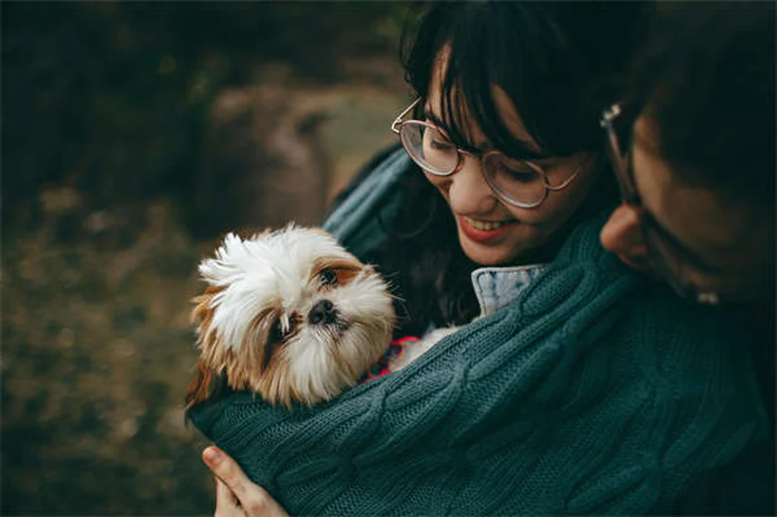 Tylosin per cani e gatti: guida completa all'antibiotico veterinario